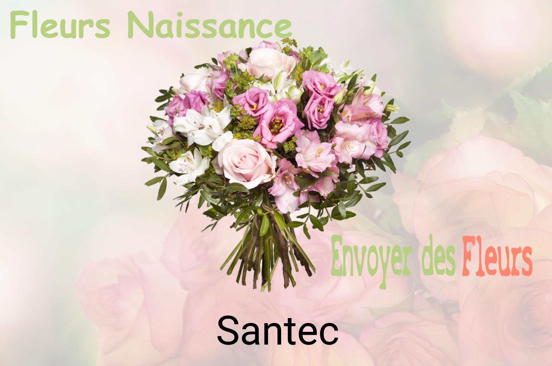 Bouquet de fleurs de naissance livré à Santec
